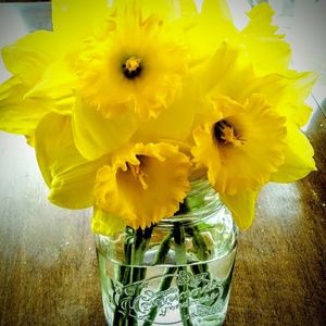 Meet your Posher, Faith